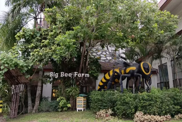 Tour Thailand Bangkok City 3D2N Honey Bee Farm
